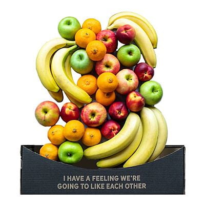 Snack Collective Everyday Fruit Box